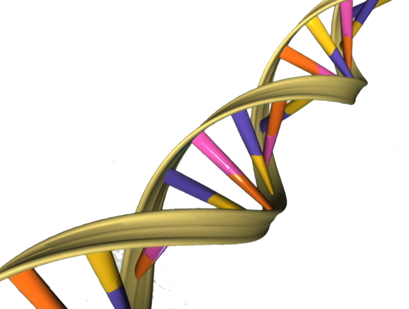 An Ancient Family of Proteins